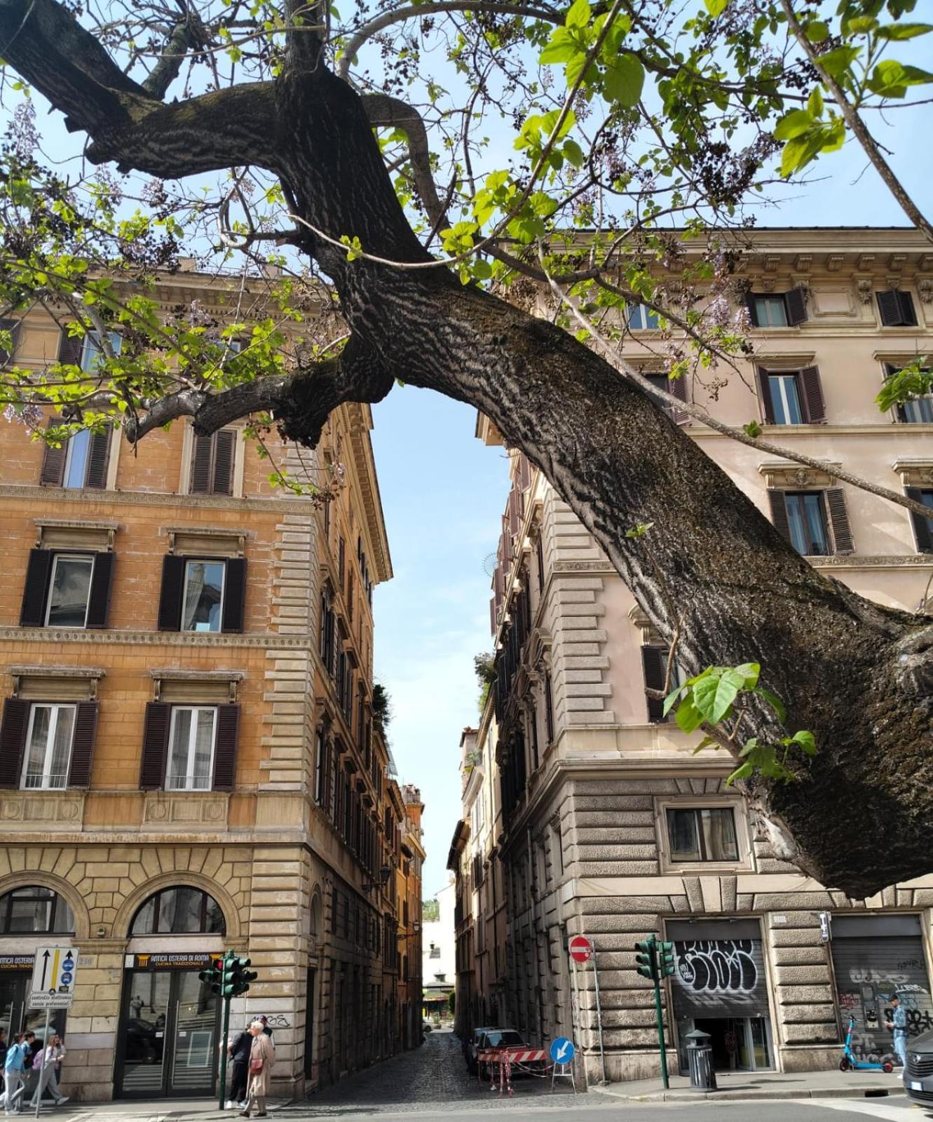 Vatican Near Sweet Home Terrace Рим Экстерьер фото